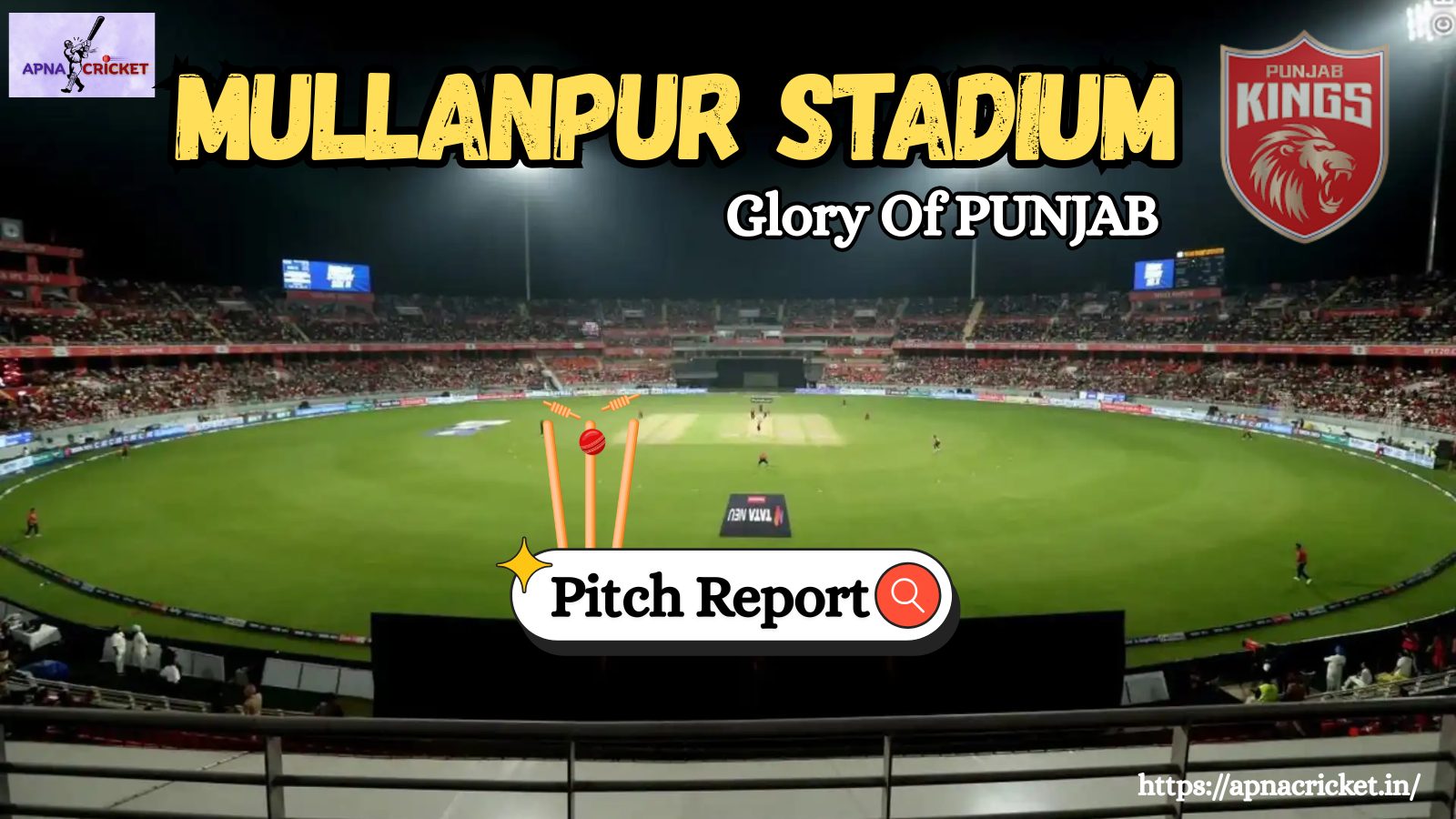 Mullanpur Stadium Pitch Report